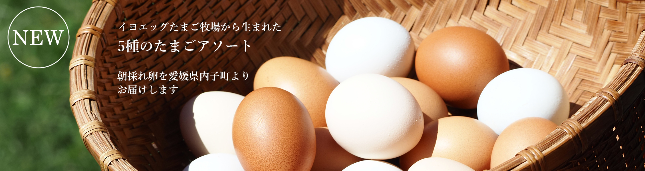 5種のたまごアソート